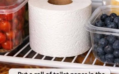 Put a roll of toilet paper in the fridge. Here’s why