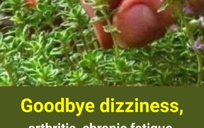 Just one leaf of this plant will help you avoid….