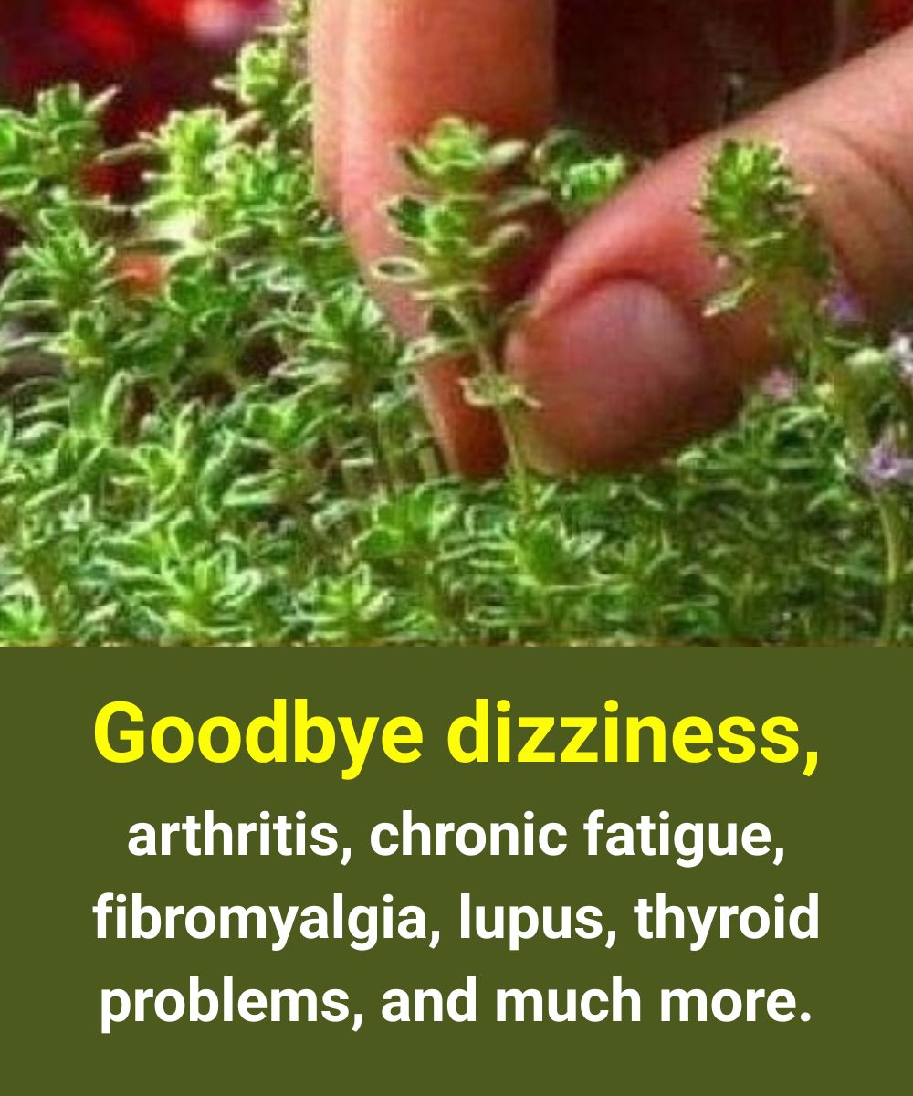 Just one leaf of this plant will help you avoid….