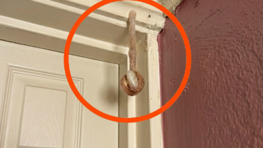 My husband and I booked a room during our vacation. In the hotel room, I discovered this. I’ve been looking at it for half an hour now, but I still can’t figure out what it is. Does anyone know? Check the first comment for the answer