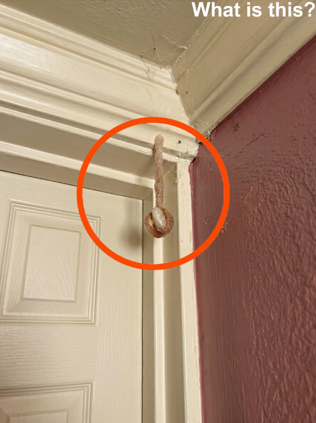 My husband and I booked a room during our vacation. In the hotel room, I discovered this. I’ve been looking at it for half an hour now, but I still can’t figure out what it is. Does anyone know? Check the first comment for the answer